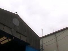 Thumbnail of post image 160